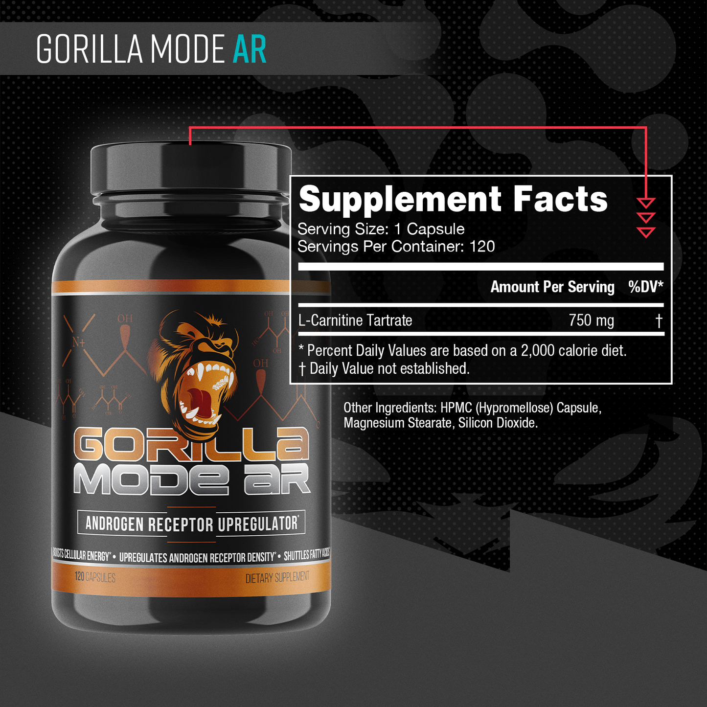 Gorilla Mode AR L-Carnitine | Gorilla Mind Gorilla Mode AR L-Carnitine | Gorilla Mind