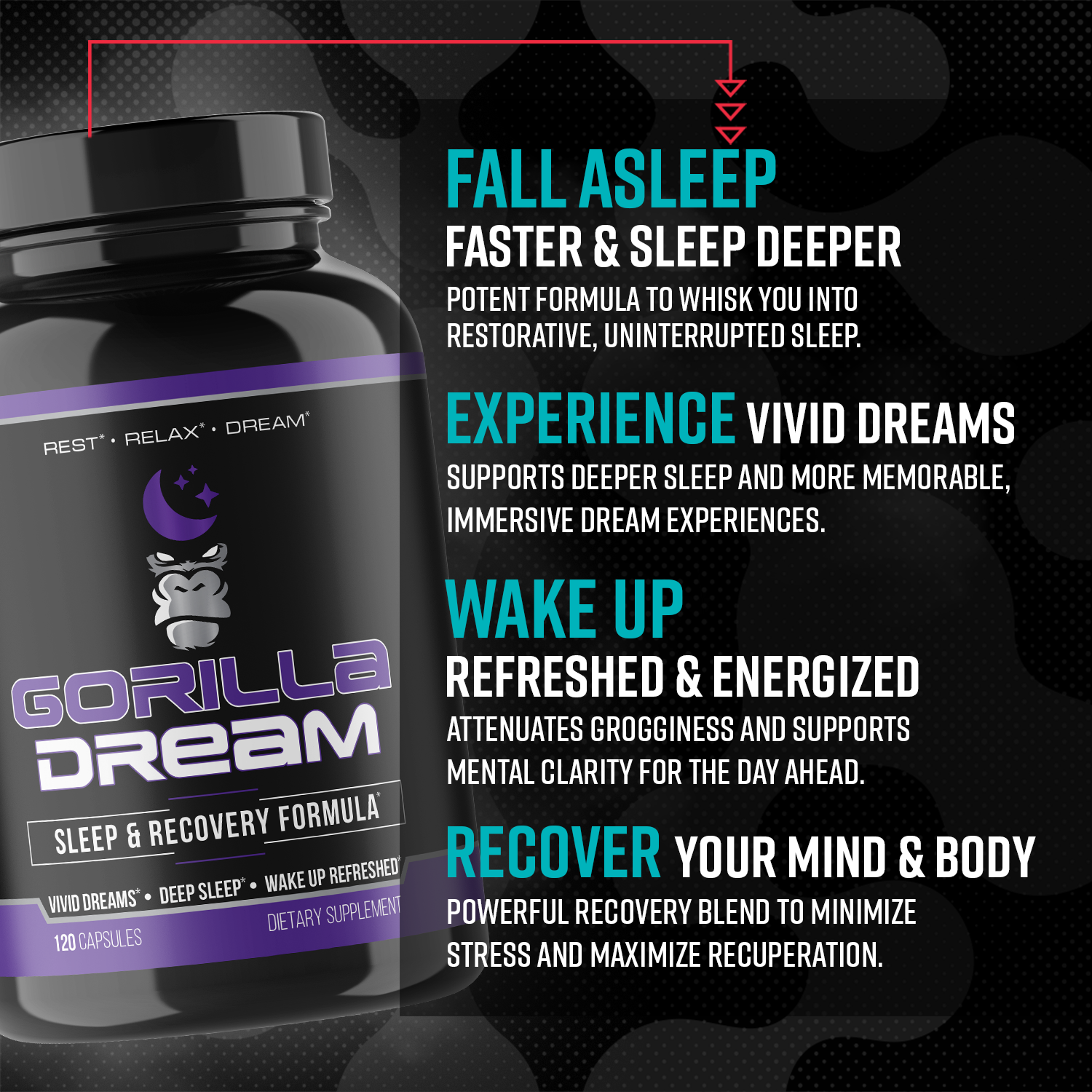 Gorilla Dream