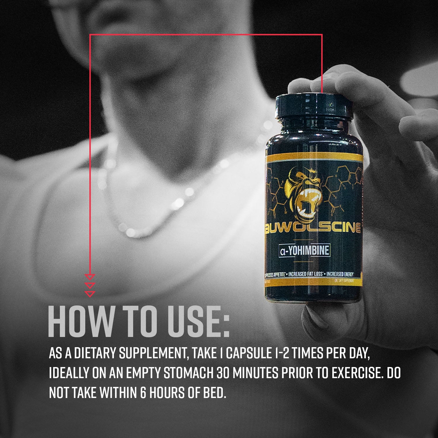 can i take yohimbine with l carnitine EXALT The Carni Burn L-Carnitine 4200mg | 10mg Yohimbine Caps main image 0
