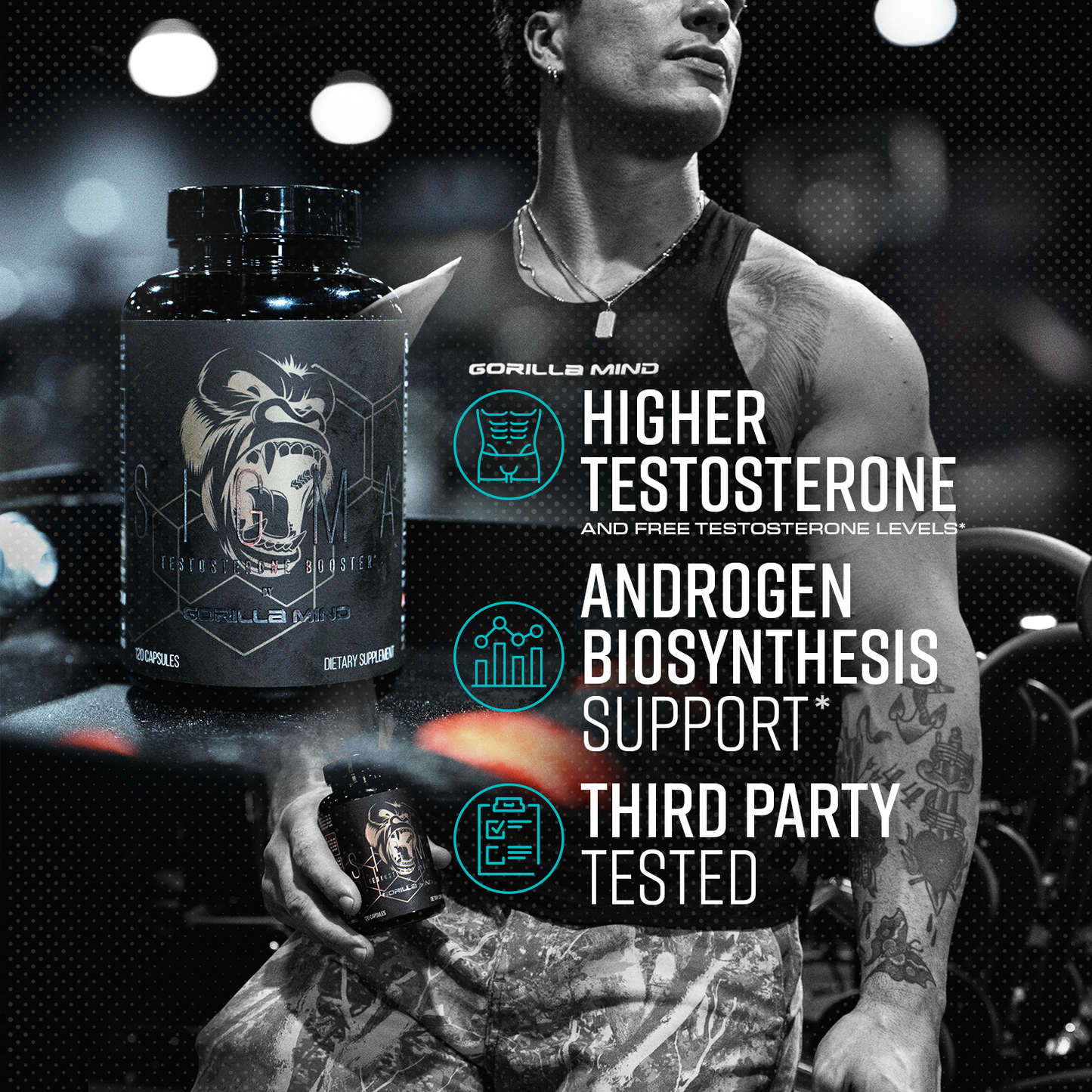 Gorilla Mind Sigma key product callouts, part A