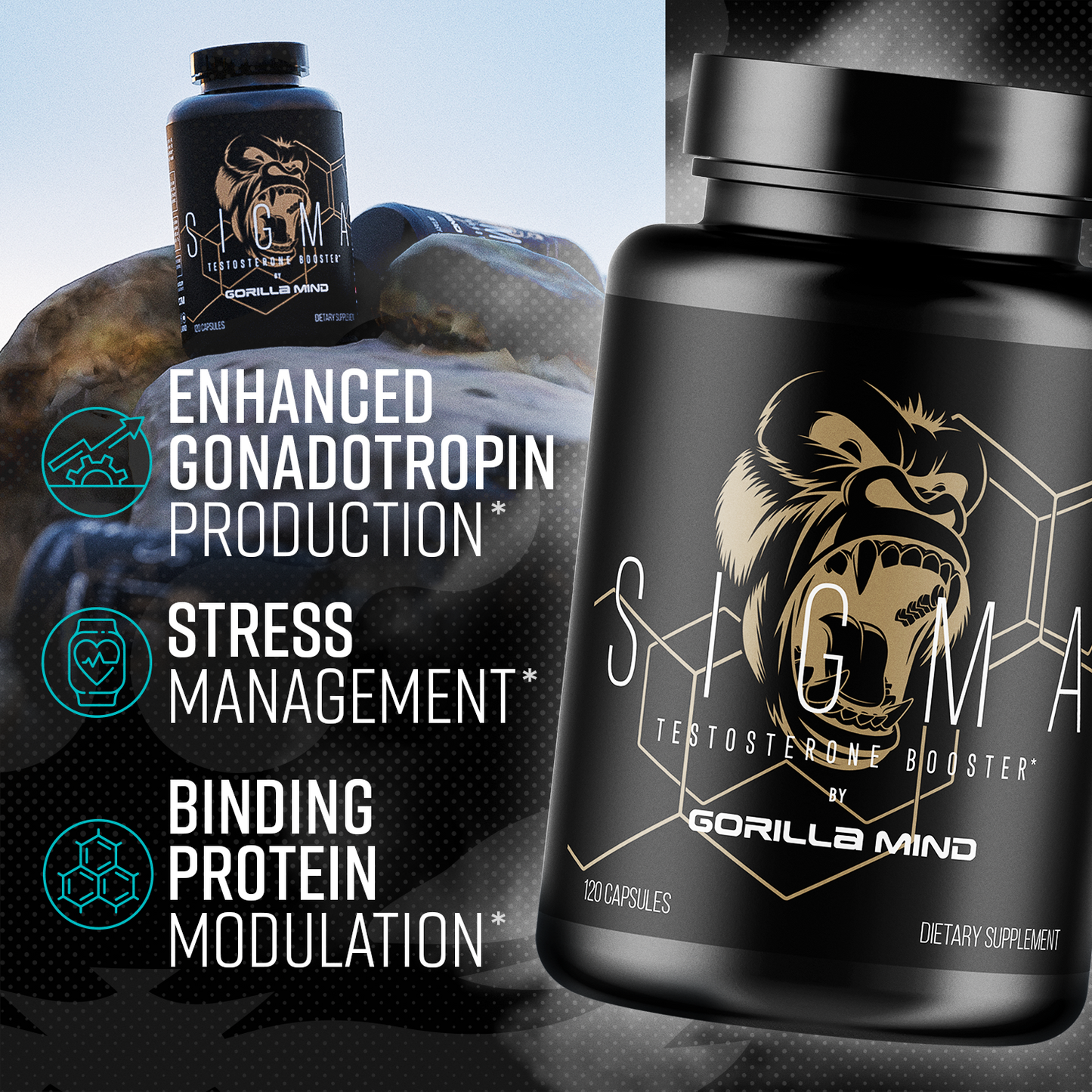 Gorilla Mind Sigma key product callouts, part B