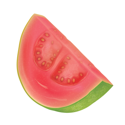 Guava ingredient illustration
