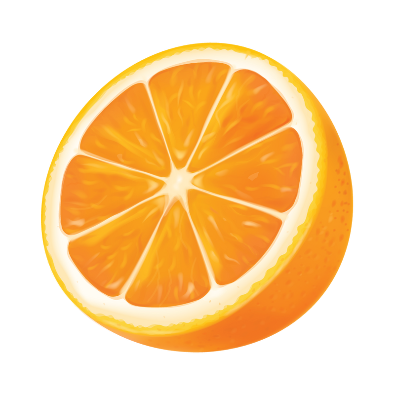Orange ingredient illustration
