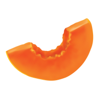 Papaya ingredient illustration