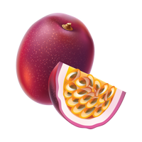 Passion fruit ingredient illustration